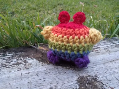 Rainbow Frog