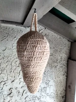 Wasp Nest