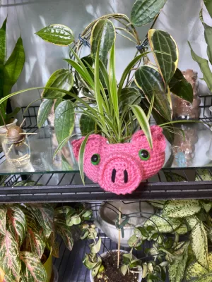 Pig plant holder
