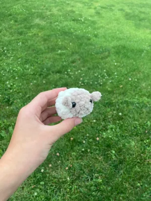 pocket sheep