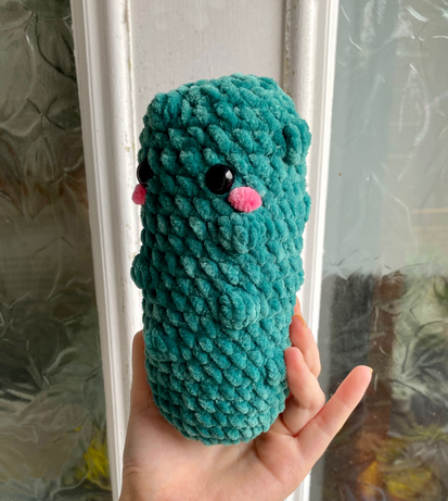 PATTERN ONLY, Easy Pickle Crochet Pattern, Instant DOWNLOAD 