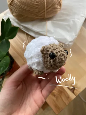 Woolly the Sheep (super cute)