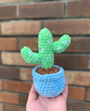 Planted Cactus Pattern