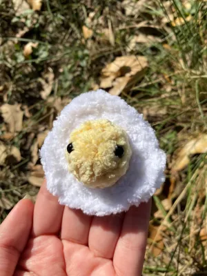 Baby Egg