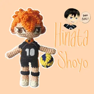 Haikyuu Hinata Shoyo