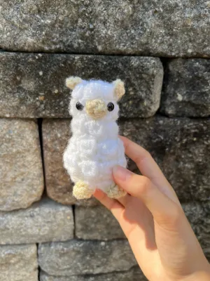 Baby llama