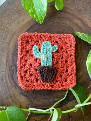 Cactus patch