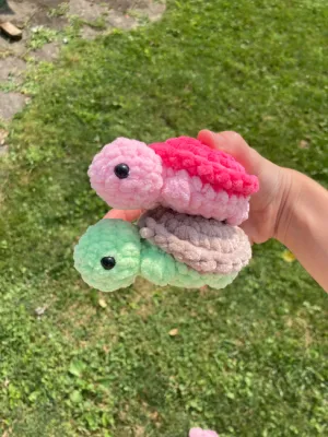 mini turtle