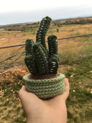 Crochet Fairy Castle Cactus