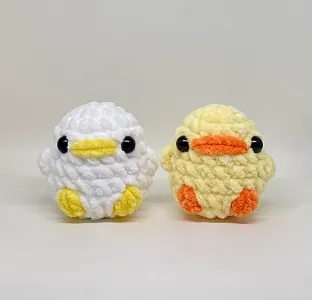 Small chick and duck