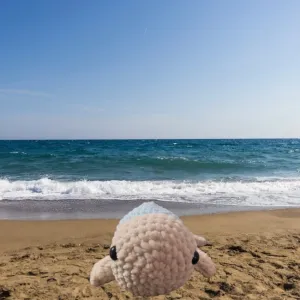 Amigurumi Turtle