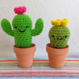 One-Hour Cactus