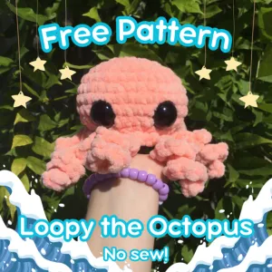 Loopy the Octopus (No sew)