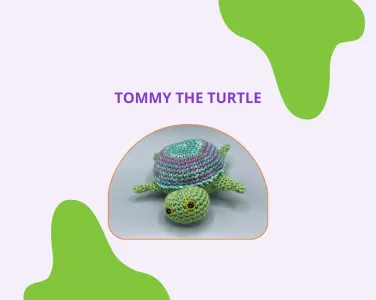 Tommy the Turtle