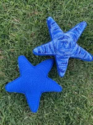 Phineas the Sea Star