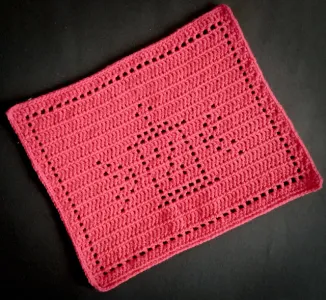 Lantern dishcloth