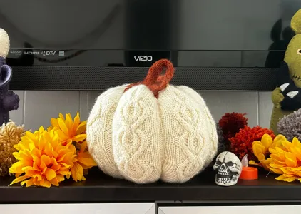 Cabled pumpkin