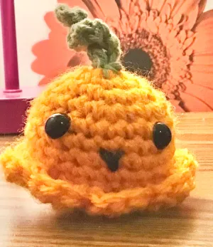 Pumpkin Octopus