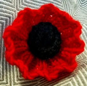 Remembrance Poppies