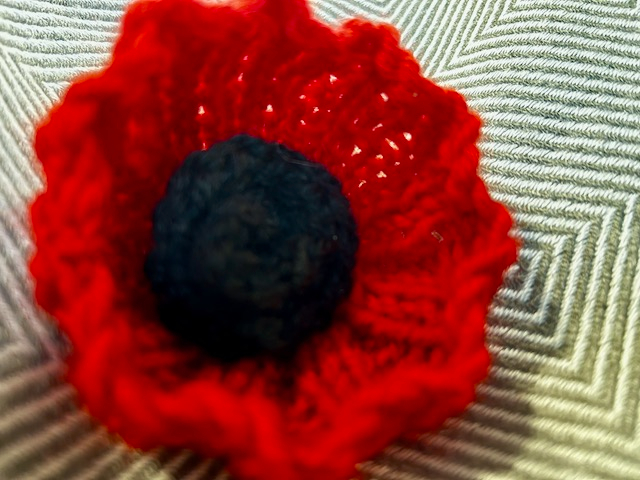 Remembrance Poppy FREE Knitting Pattern