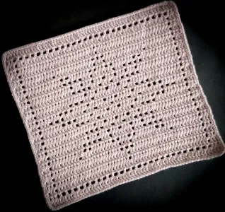 Shining star dishcloth