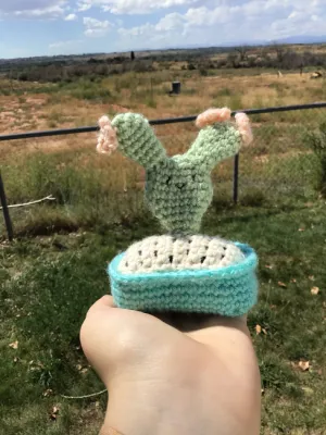 Crochet Bunny Ear Cactus