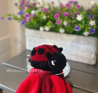 Little ladybug