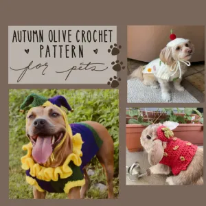 costume sweaters for pets