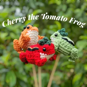 Cherry the Tomato Frog