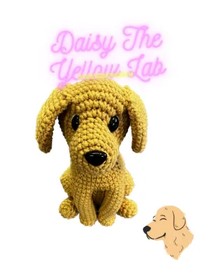 Daisy the Yellow Lab