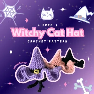 Witchy Cat Hat