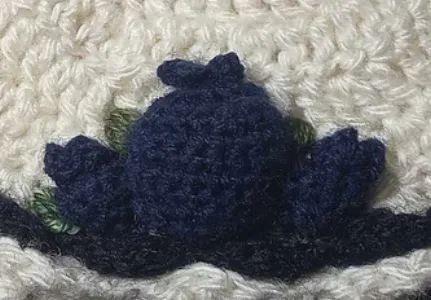 Blueberry applique