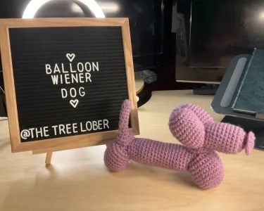 (10+ journal) Wiener Balloon Dog (no-sew)