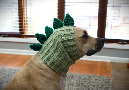 Dinosaur Dog Snood Dog Costumes