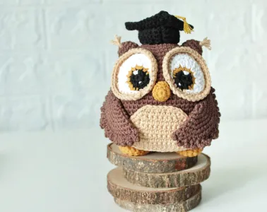 Crochet graduation owl amigurumi pattern, Teacher appreciation gift