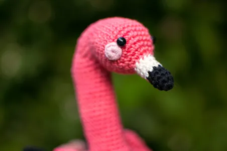 Floyd the Flamingo