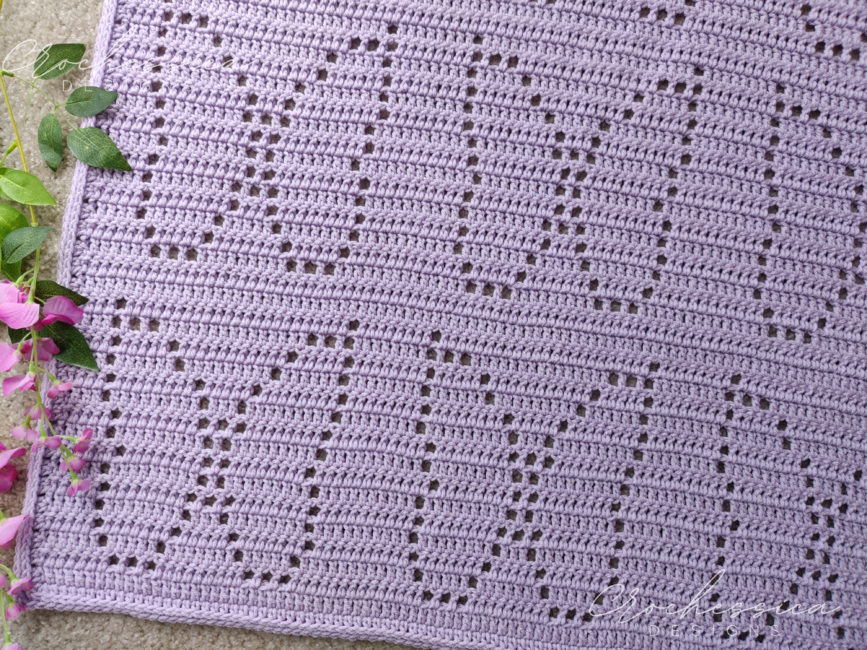 Crochet Pattern Book FILET AFGHANS ~ 8 Designs ~ Butterfly, Ripple, Seagull  +