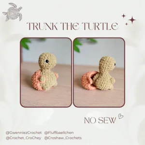 Trunk the Trendy Turtle