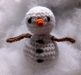 Savvy Snowman