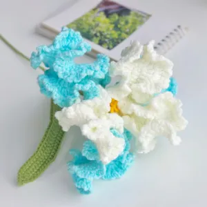 How to Crochet Iris