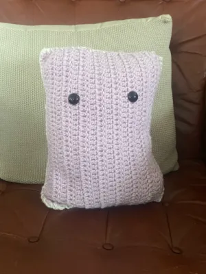 Cute pillow with eyes