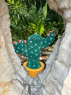 Perry the Prickly Pear