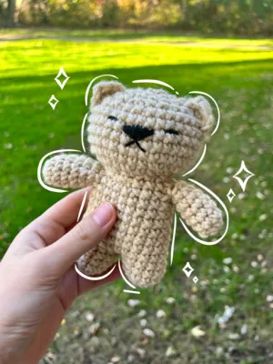 No sew teddy bear crochet plushie