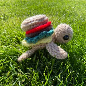 Timmy the burger turtle