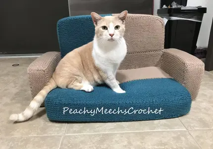 Cat Couch