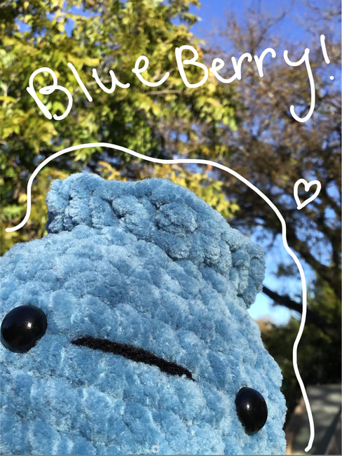 FREE Cute Blueberry plush: Crochet pattern