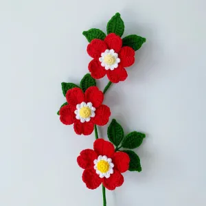 How to Crochet Rosa Canina