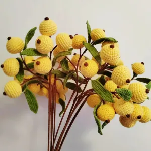 How to Crochet Loquat