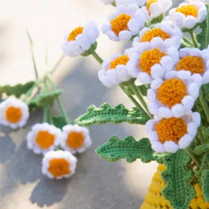 How to Crochet Pompom ruffled daisy