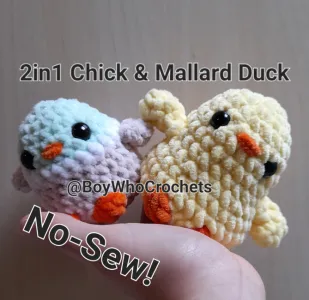 2in1 Chick and Mallard Duck
